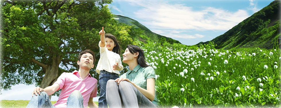 Copyright &copy; 2017 Barman Soft Inc.